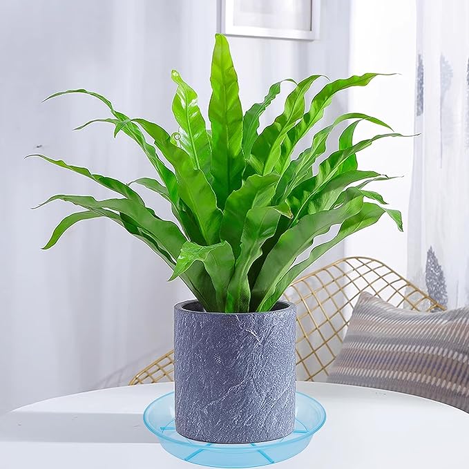 6 Pack Plant Saucer Drip Tray 14 inch, Large Plastic Plant Trays, Heavy Sturdy Plastic Planter Flower Pot Saucers for Indoor Outdoor Garden, Plant Water Drip Trays for pots (14", Blue)