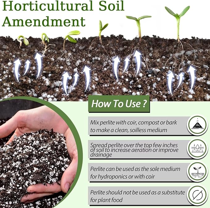 Riare 2 Quarts Organic Perlite for Plants - Horticultural Perlite Soil Amendment for Plants Potting Mix, Natural Chunky Perlite Soil Additive Conditioner Improve Root Growth, Drainage and Ventilation