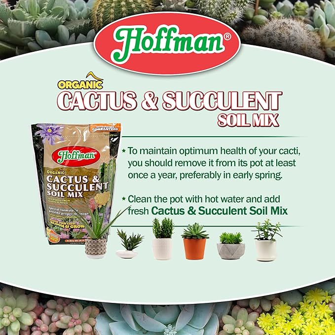 Hoffman 10404 Organic Cactus and Succulent Soil Mix, 4 Quarts, Brown/A