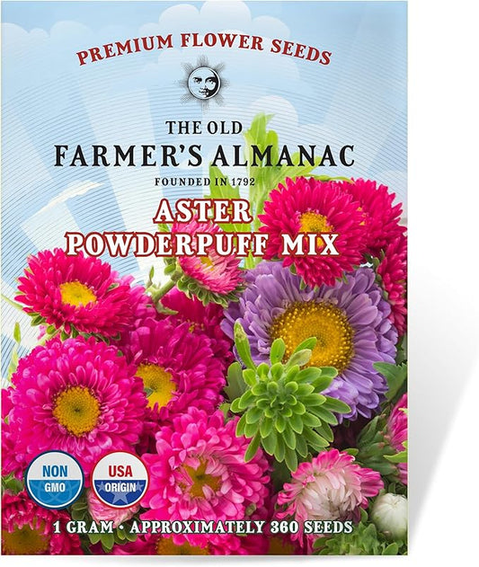 The Old Farmer's Almanac Aster Seeds (Powderpuff Mix) - Approx 360 Flower Seeds - Premium Non-GMO, Open Pollinated, USA Origin