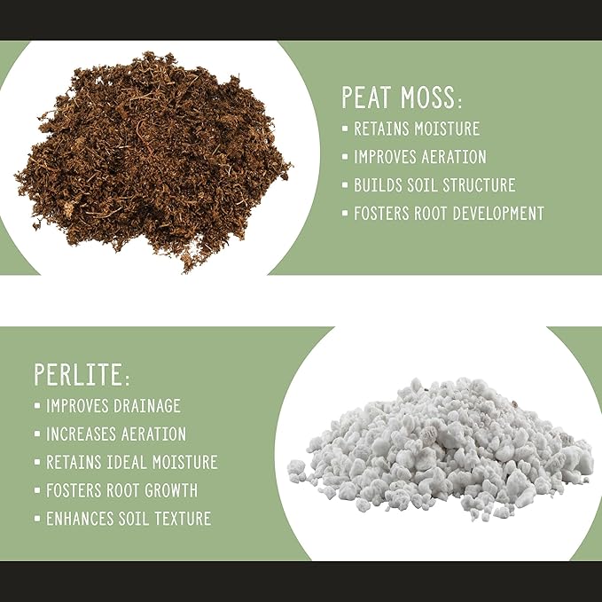 Avocado Tree Potting Soil Mix (12 Quarts), for Germinating, Growing and Repotting Avocado Plants