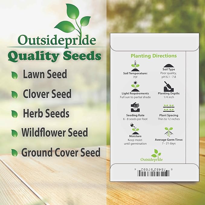 Outsidepride 500 Seeds Annual Ipomoea Purpurea Morning Glory Fieldgrown Climbing Vine Flower Seeds for Planting