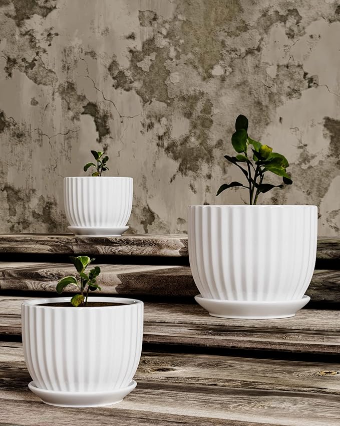 Ton Sin White Plant Pots Set of 3,Indoor Ceramic Flower Pot with Saucers,6.7"&5.5"&3.9" Inch Small to Medium Sized Planters for Plants,Round Modern Garden Pots