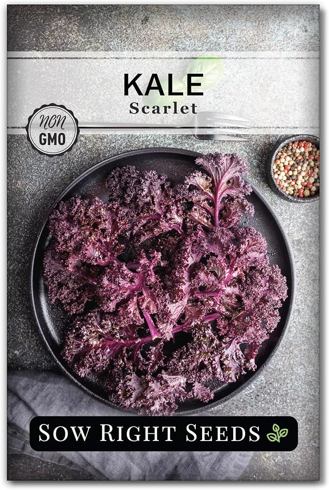 Sow Right Seeds - Hydroponic Vegetable Seeds for Planting - Lettuce, Kale, Arugula, Pak Choi, Watercress & Cherry Tomato Seeds for Planting and Growing Hydroponics - Perfect for Indoor Growing System