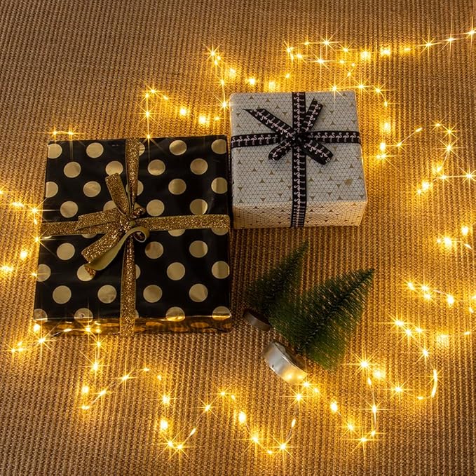 Fairy Lights Plug in,164FT 1000 LEDs Waterproof String Lights,Twinkle Light with Remote for Outdoor Indoor Christmas Wedding Birthday Garden Party Decorations,2 Inch Space,Warm White