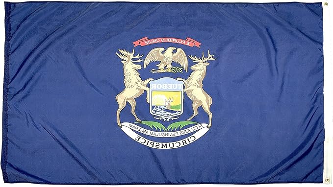 FlagSource Michigan Nylon State Flag, Made in the USA, 5x8'