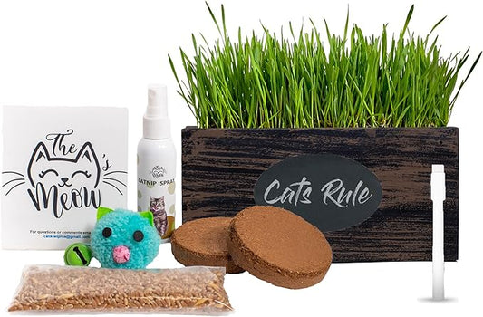 Ornamental Indoor Planter with Pet/Cat Grass Growing kit, Handcrafted in The USA from Red Cedar (WickerBrown)