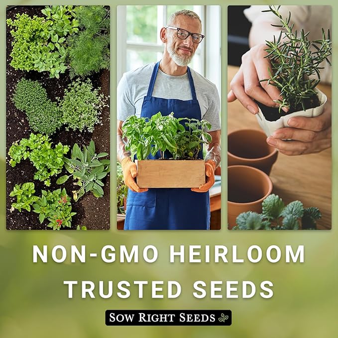 Sow Right Seeds - Herbal Tea Garden Grow Kit - 5 Seed Packets, Instructions, Pots, Potting Soil, Markers - Start Growing Lavender Lemon Balm Echinacea Chamomile Mint Indoors - Non GMO Gift for Women