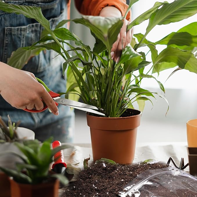 Organic Peace Lily Soil Mix 4qt, Indoor Plants Potting Mix for Planting, Growing, or Repotting Peace Lily Plants, Grow Healthy houseplants Indoors