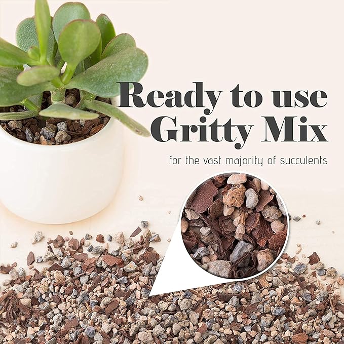 Succulent and Cactus Soil - Jacks Gritty Mix -2 Gallons – Fast Draining – Fight Root Rot – Optimized pH