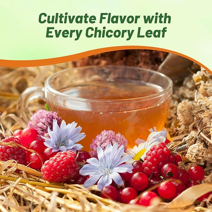 Outsidepride 1 lb. Perennial Chicory Flower Seeds for Planting