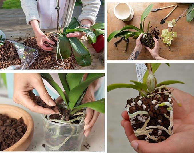 Orchid Bark for Plants, Organic Pine Bark for Proper Root Development for Phalaenopsis, Cattleyas, Dendrobiums, Oncidiums, Paphiopedilums and More (1qt, Small(4-8mm))