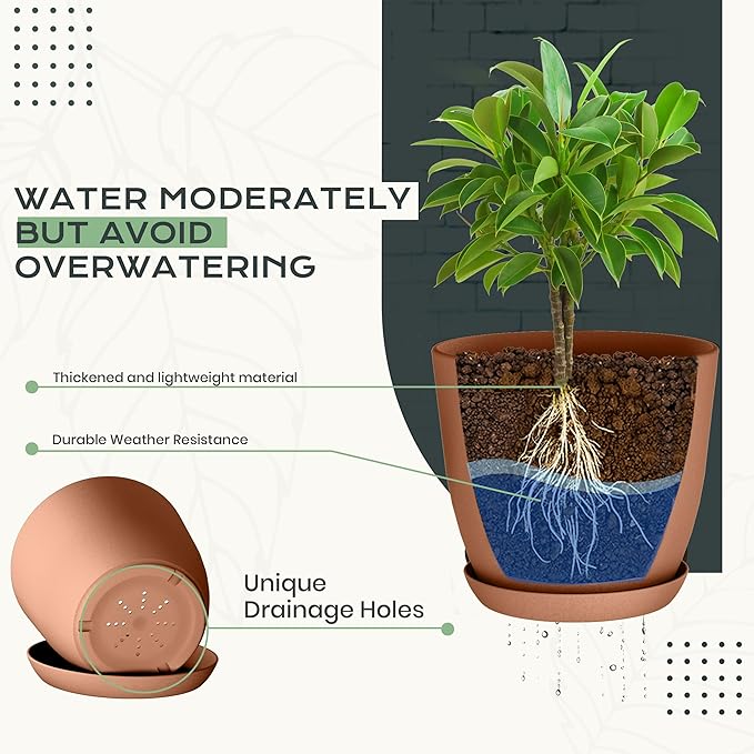 Utopia Home - Plant Pots Indoor with Drainage - 7/6.6/6/5.3/4.8 Inches Home Decor Flower Pots for Indoor Planter - Plastic Planters for Indoor Plants, Cactus, Succulents Pot (Terracotta, Pack of 10)