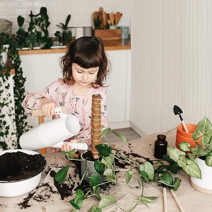 6 Pcs Moss Pole Extending to 68 Inches for Plants Monstera, Plant Support Stakes for Indoor Climbing Plants Grow Upwards, with 65ft Twist Ties, 13ft Jute Rope, 6.5ft Hook-and-Loop Strip