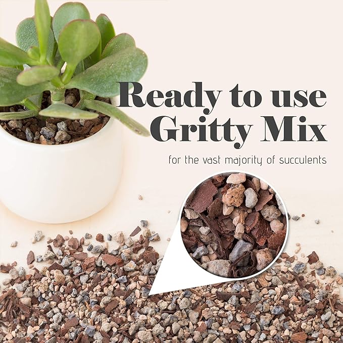 Succulent and Cactus Soil - Jacks Gritty Mix - 3 Gallons – Fast Draining – Fight Root Rot – Optimized pH
