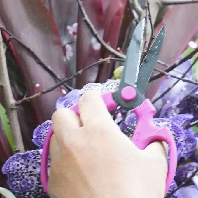 Meraki Flower Scissors/Garden Scissors with Black Carbon Steel Blades 7.6 inch, Color: Bougainvillea