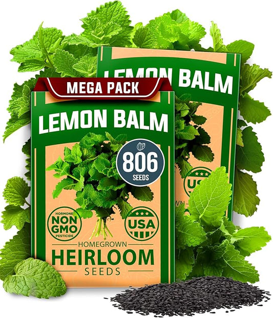 HOME GROWN Lemon Balm Seeds Pack - 806 Non-GMO Heirloom Herbal Tea Seeds - Bulk Lemon Balm Seeds for Planting Herbal Tea Gardens Indoors or Outdoors - USA Sourced Herb Seeds (Melissa officinalis)