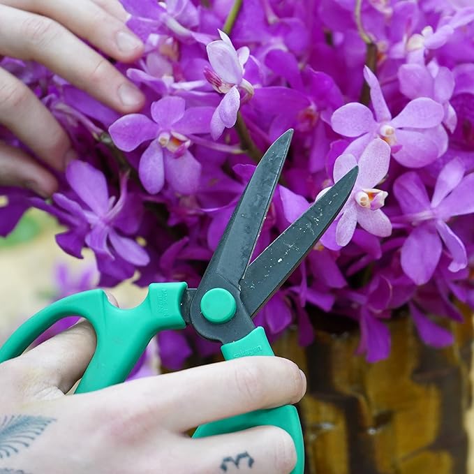 Meraki Flower Scissors Set of 3 / Garden Scissors with Black Carbon Steel Blades, 3 Sizes in Cool Analogous Colors