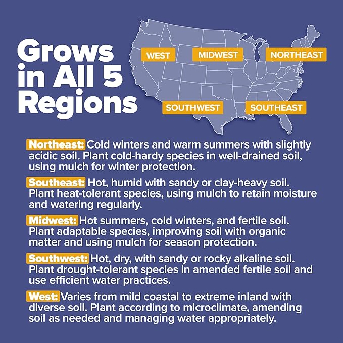 90,000 Wildflower Seeds - 3oz Pure Wild Flower Seed Pack - 25 Variety - Perennial Flower Seeds for Attracting Birds & Butterflies - Open Pollinated, Flower Garden Seeds for Planting Outdoors