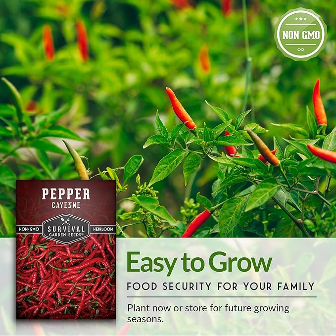 Survival Garden Seeds - Red Cayenne Pepper Seed for Planting - Packet with Instructions to Plant and Grow Hot Chili Peppers in Your Home Vegetable Garden - Non-GMO Heirloom Variety - Single Pack