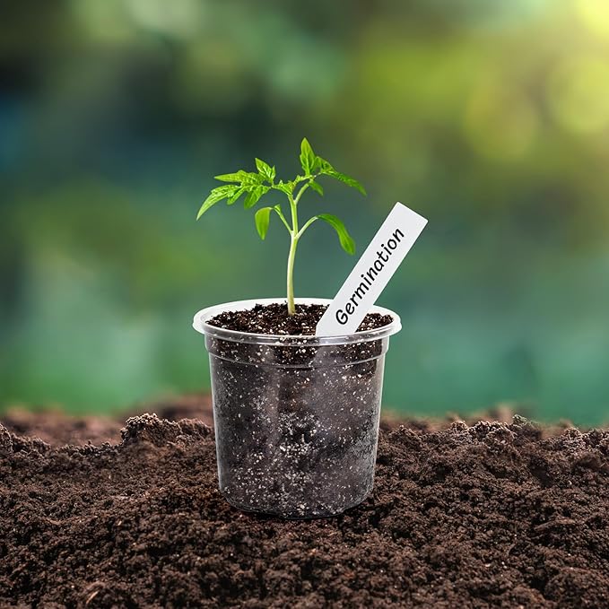 Bonviee Clear Nursery Pots for Plants, 3.5 Inch Plant Pot for Planting Plastic Seedling Pots with Drainage Holes Seed Starter Pot Flower Pots High Transparency with 20 Plant Labels (60 Pack)