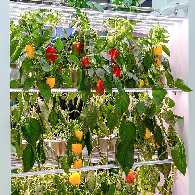 600+ Pepper Seeds, Heirloom Vegetable Seed for Planting Indoor Outdoor, 10 Varieties Hot and Bell Pepper Seeds Garden Kit, Non-GMO Home Fresh Food Hydroponic Veggie Supply