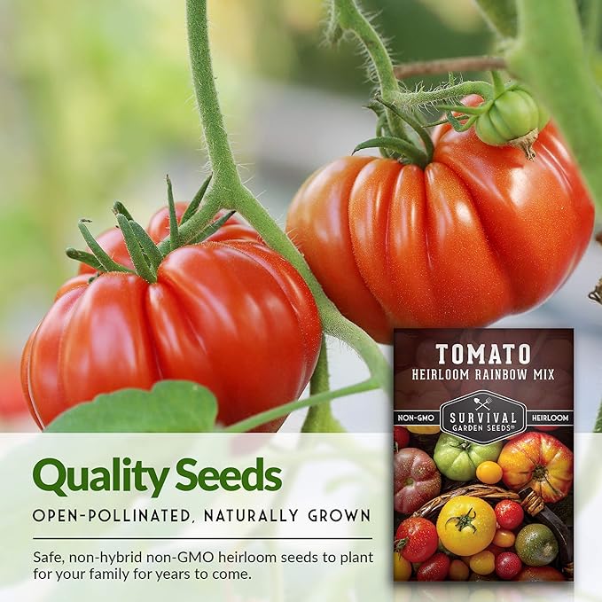 Survival Garden Seeds - Heirloom Rainbow Mix Tomato Seed for Planting - 2 Packets with Instructions to Plant and Grow in Your Home Vegetable Garden - Non-GMO Heirloom Variety - 2 Packs