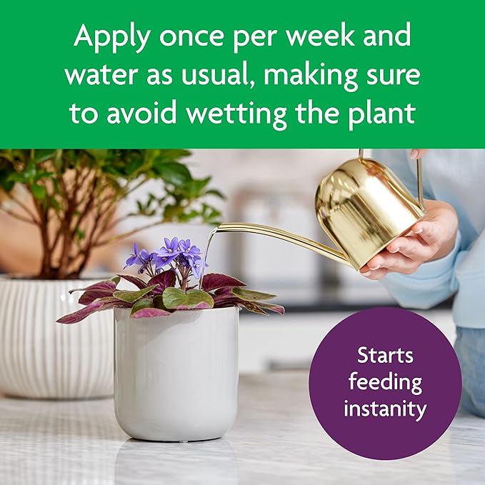 Miracle-Gro Blooming Houseplant Food, 8 oz., Plant Food Feeds All Flowering Houseplants Instantly, Including African Violets