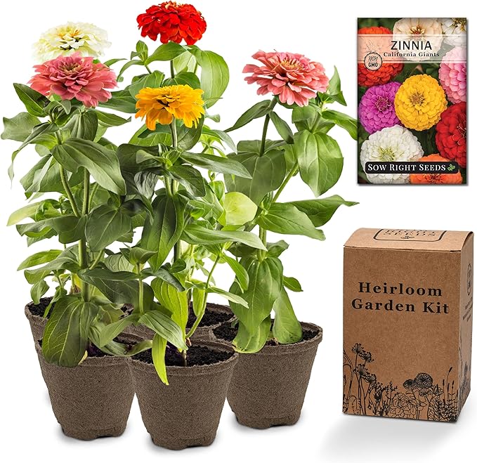 Sow Right Seeds - Zinnia Seeds for Planting Outdoors - Grow Your own Flowers Kit - Includes Pots & Potting Soil - Non-GMO Packet with Instructions - Beautiful to Plant in Your Garden - Gardening Gift