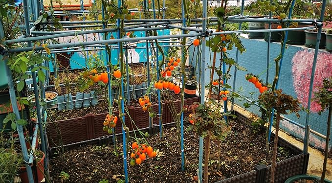 10QT Organic Perlite Horticultural Soil Amendment for Plants and Enhanced Drainage Enhanced