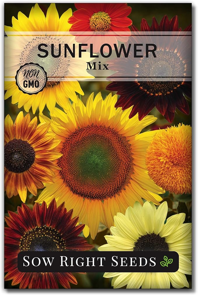 Sow Right Seeds - Mixed Sunflower Seeds for Planting - Non-GMO Heirloom Packet with Instructions - Great Wedding or Party Favor - Grow Giant Sunflowers in an Assortment of Bright, Unique Colors (1)