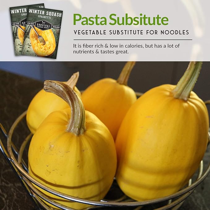 Survival Garden Seeds - Spaghetti Squash Seed for Planting - 3 Packets with Instructions to Plant and Grow Low Carb Healthy Winter Squash in Your Home Vegetable Garden - Non-GMO Heirloom Variety