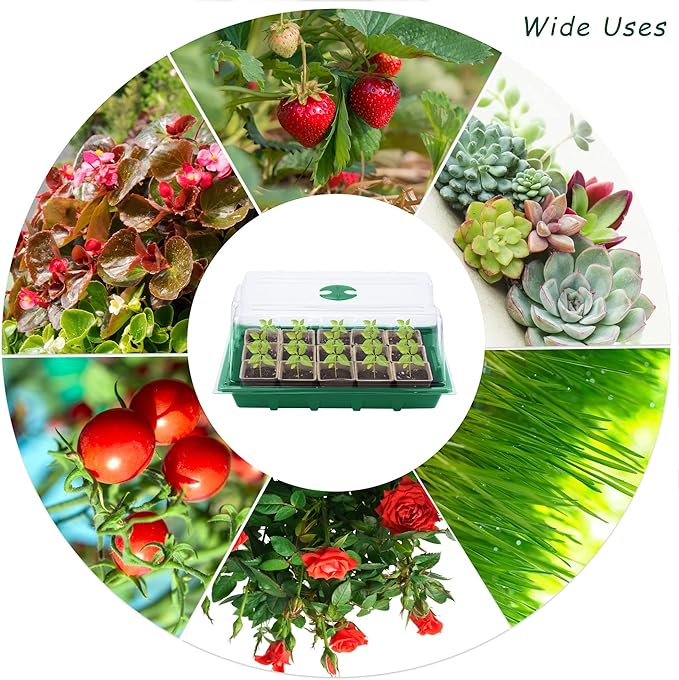 4 Pack Seed Starter Tray Kit, 120 Square Seed Peat Pots for Seedlings with Plants Labels, Planting Tools, Plastic Growing Germination Trays with Lids for Indoor Outdoor Gardening, Green