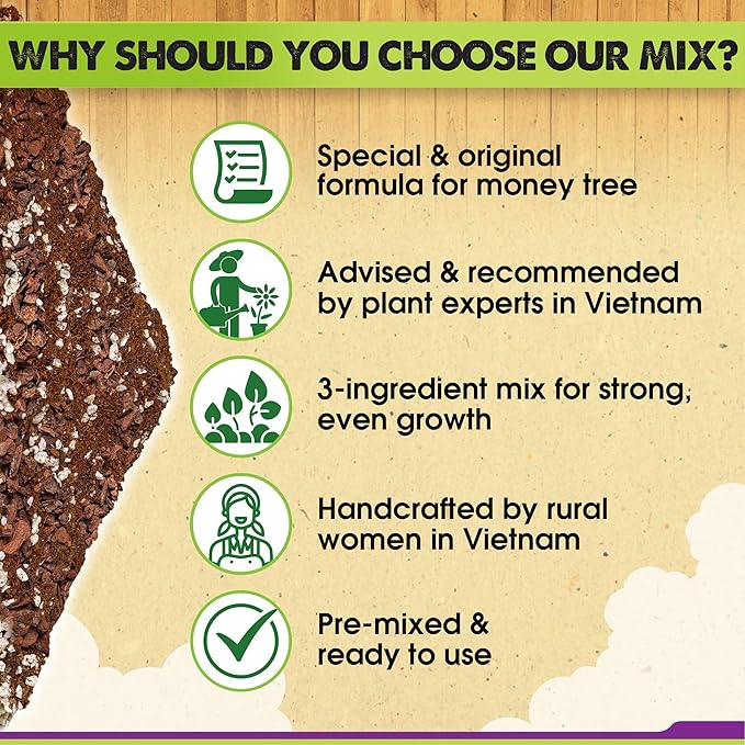 DUSPRO Recycle Money Tree Soil, Premium Coco Coir Perlite Mix and Pine Bark for Money Tree Soil, Ideal Money Tree Soil for Healthy Growth and Nourishment (4 Quarts)