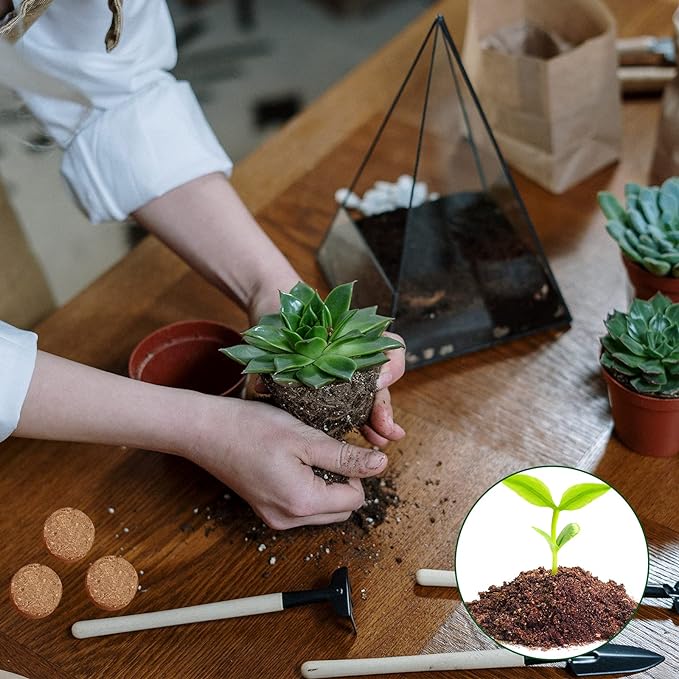 ZeeDix 50pcs(30mm) Compressed Coco Coir Fiber Potting Soil- Coir Medium, Coconut Soil for Indoors or Outdoors, Bonsai, Herbs, Plants, Flowers and Vegetables