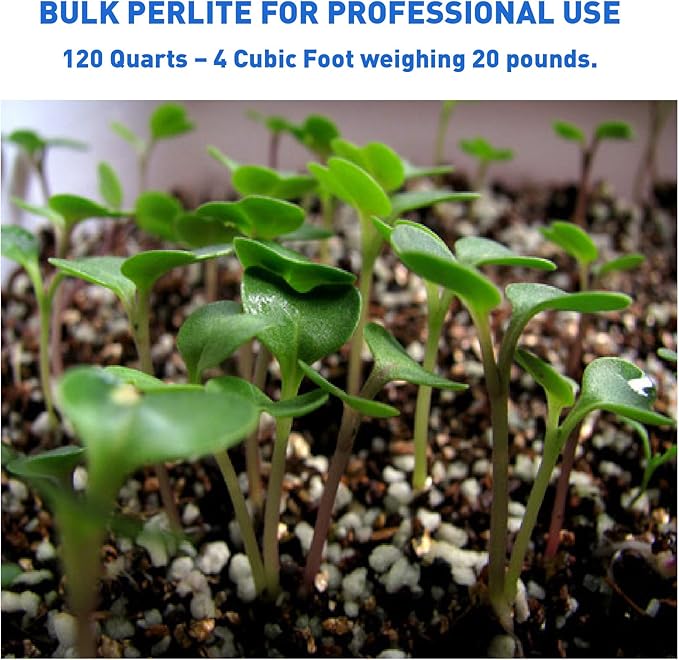 PVP Industries PVP105408 120 Quarts, 4 Cubic Foot of Organic Perlite Planting Soil Additive, White