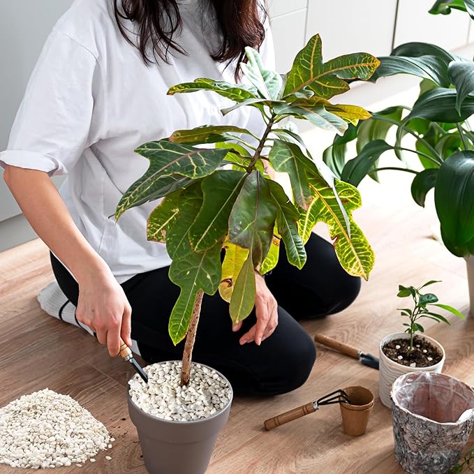 Halatool 8QT Perlite 3-6mm Organic Perlite for Gardening Plants Indoor Natural Potting Soil Mix Additive for Holding Moisture Aeration Drainage