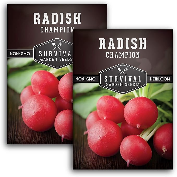 Survival Garden Seeds - Champion Radish Seed for Planting - 2 Packets with Instructions to Plant & Grow Red Radishes in Your Home Vegetable Garden - Non-GMO Heirloom Variety Vegetable Seeds