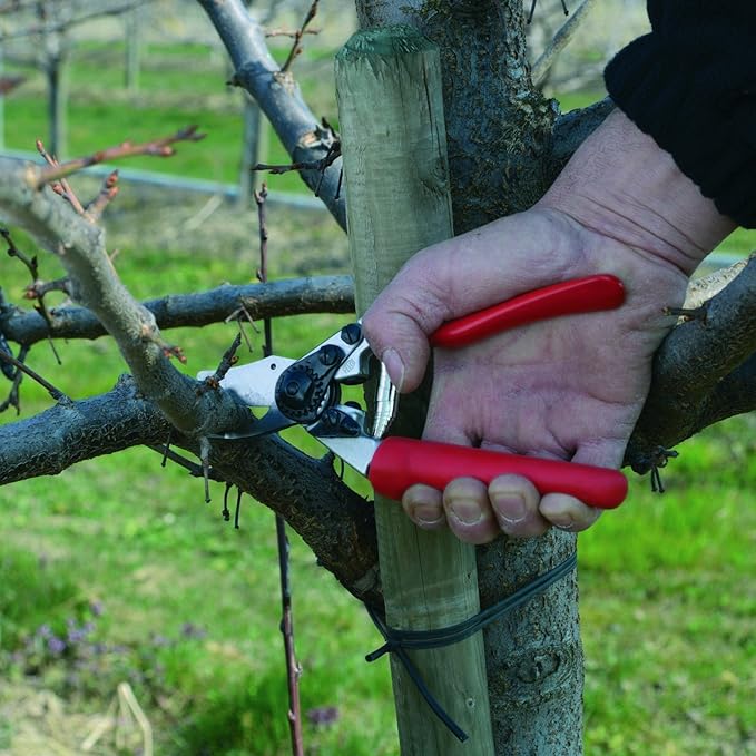 Felco Pruning Shears (F 6) - High Performance Swiss Made One-Hand Garden Pruners - 100052385