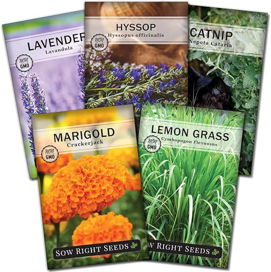 Sow Right Seeds - Pest Deterrent Seed Collection for Planting - Lavender, Catnip, Marigold, Hyssop & Lemon Grass - 5 Packets with Instructions for Home Garden - Natural Solution