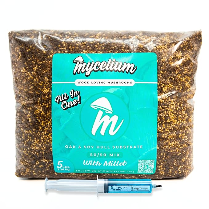 Mycelium’s King Trumpet Gourmet Mushroom Kit | 5LBS Oak & Soy Hull with Millet Blend | 20ML Liquid Culture Syringe | All-in-One Complete Cultivation Kit | Pre-Sterilized - Home Growing Made Easy