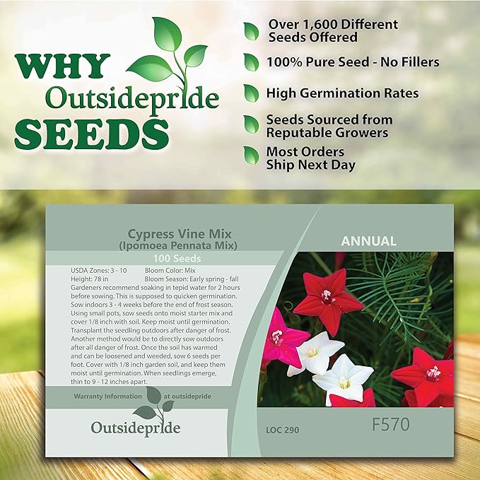 Outsidepride 200 Seeds Annual Cypress Vine Flower Seed Mix for Planting