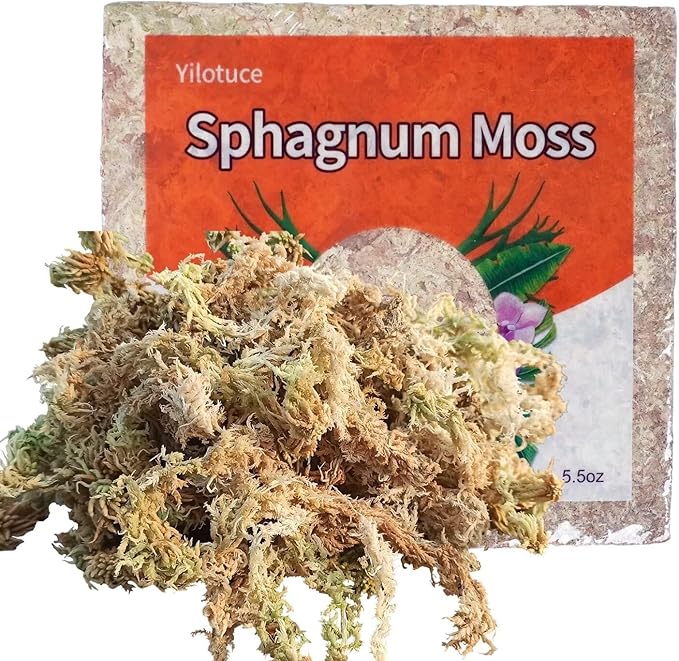 5.5oz Sphagnum Moss for Plants, Premium Compressed Sphagnum Moss for Orchids