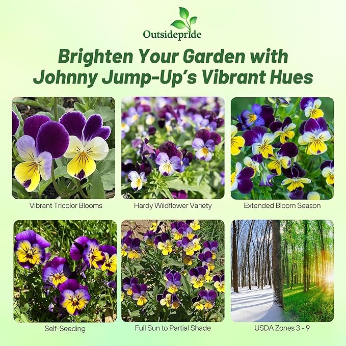 Outsidepride 5000 Seeds Perennial Viola Johnny Jump Up Flower Seeds for Planting