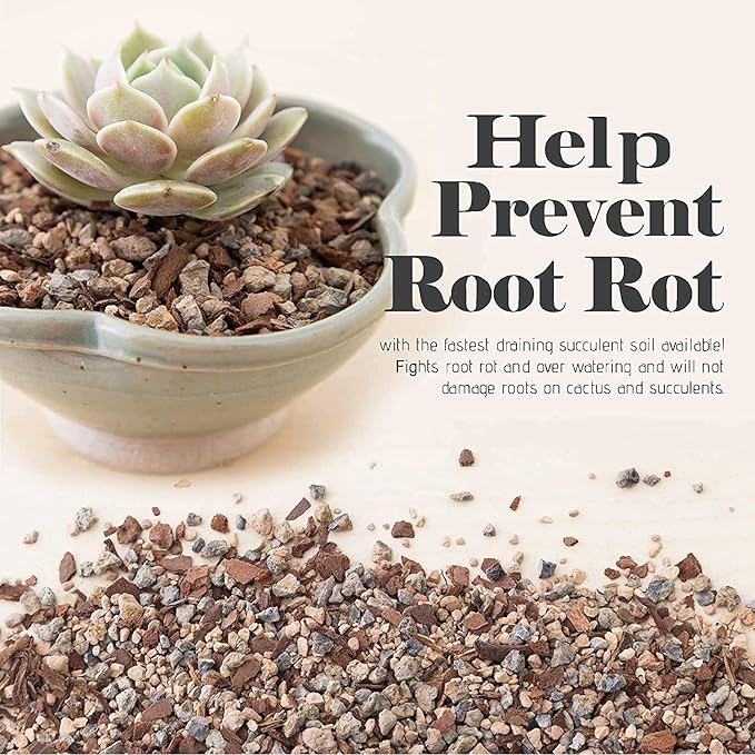 Succulent and Cactus Soil - Jacks Gritty Mix -2 Gallons – Fast Draining – Fight Root Rot – Optimized pH