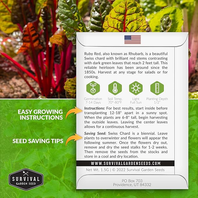 Survival Garden Seeds - Ruby Red Rhubarb Swiss Chard Seed for Planting - 3 Packs with Instructions to Plant and Grow Delicious Leafy Greens in Your Home Vegetable Garden - Non-GMO Heirloom Variety