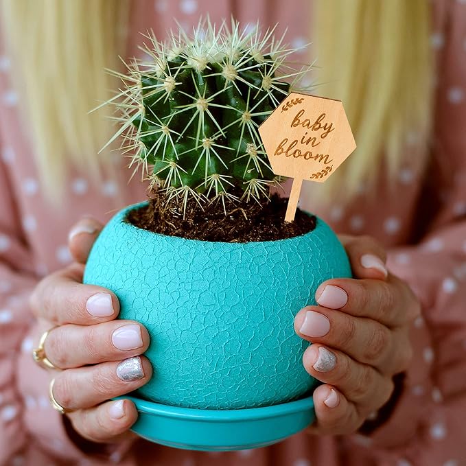 Baby in Bloom Succulent Tags Baby Shower Favors Gifts, PARBEE 40PCS Hexagon Plant Stakes Labels Gift Wooden Garden Stakes Succulent Plant Markers