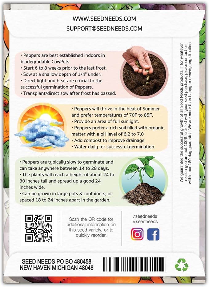 Seed Needs Rainbow Bell Pepper Seeds for Planting - Non-GMO, Heirloom & Untreated - Organically Grow a Home Grown Garden Outdoors for Healthy Vegetables (1 Pack)