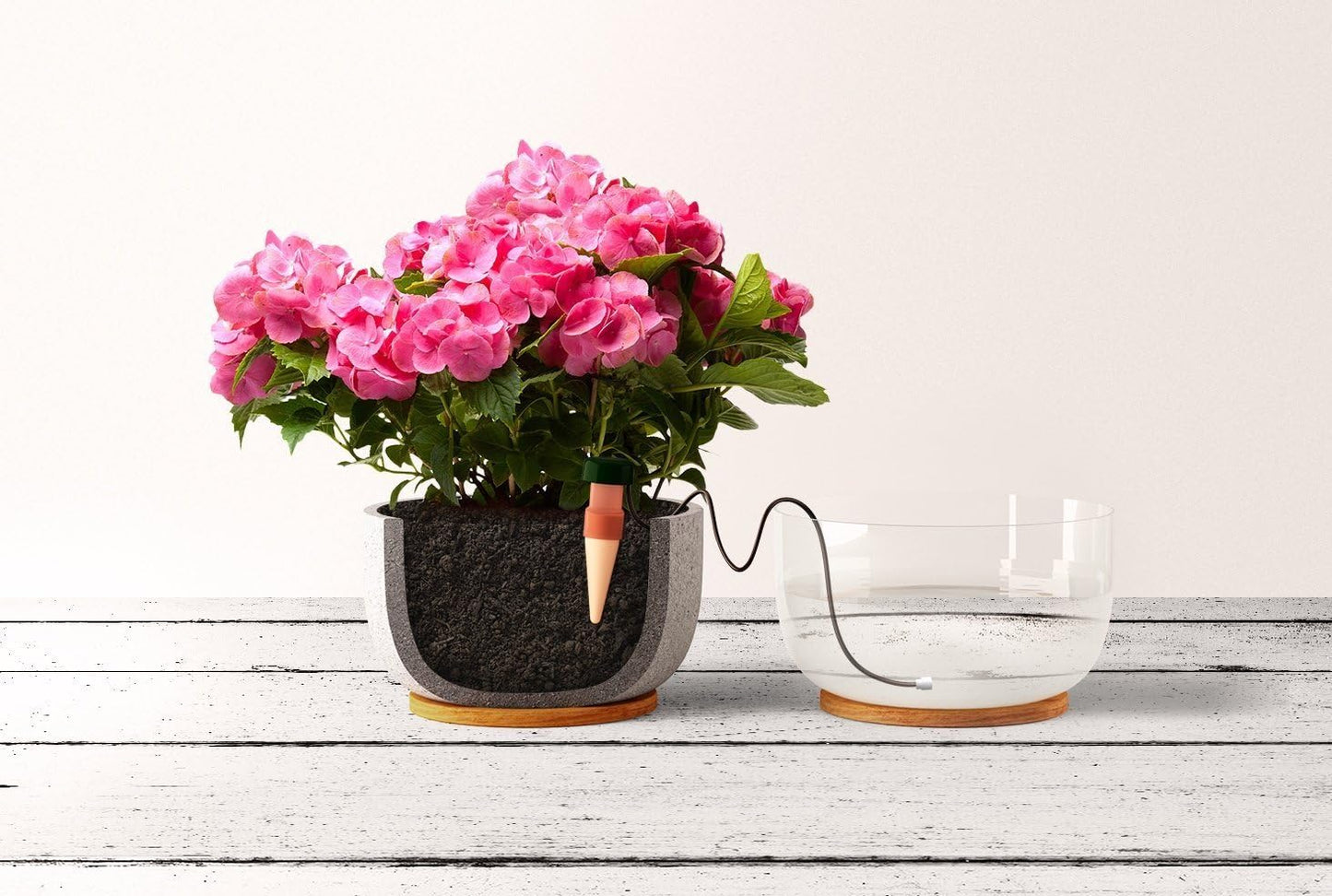 Blumat Classic Plant Watering Stakes - Self-Watering Insert for Indoor and Outdoor Plants - Automatic Slow Release Irrigation System for Potted Plants - Houseplant Care Device (10 Pack)