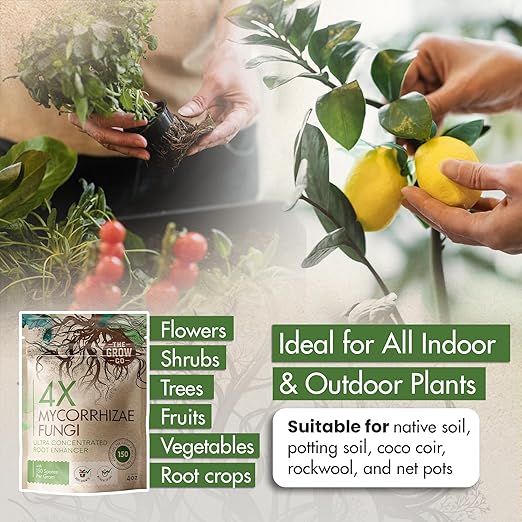 4oz 4X Mycorrhizae for Plants - Mycorrhizal Inoculant - Root Enhancer & Concentrated Myco, Superior Mycorrhizal for Plants, Ideal Mycorrhizae Powder for Increased Nutrient Uptake & Stronger Roots